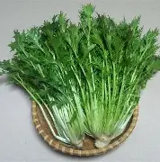 呦3O鳬?r/?mp???薹~沗p炀げk?韋"],見癣,Z(#俰+関夔的简单介绍-开云体育中国官网